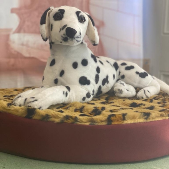 Dog's bed